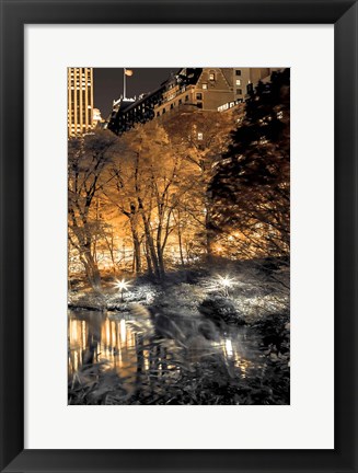 Framed Central Park Glow III Print