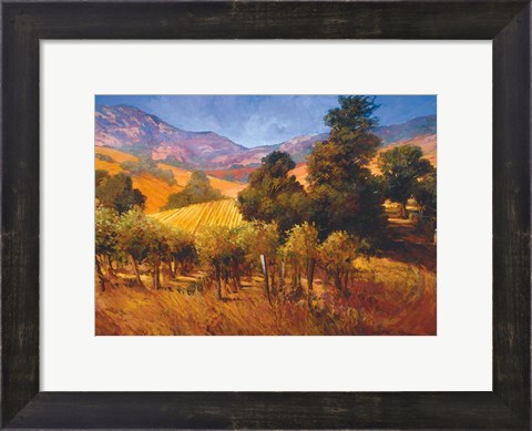 Framed Southern Vineyard Hills Print