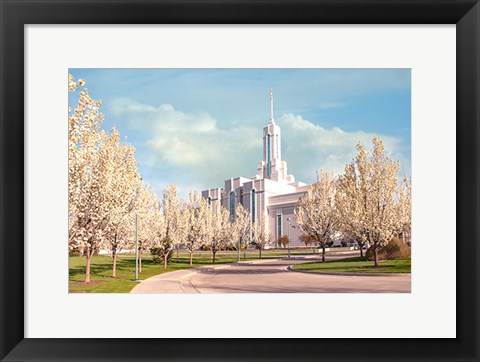 Framed Mt. Timpanogas Temple Print