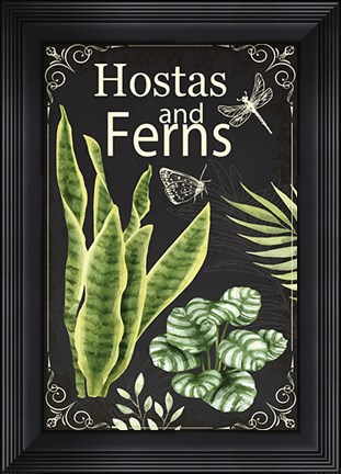 Framed Hostas and Ferns Print