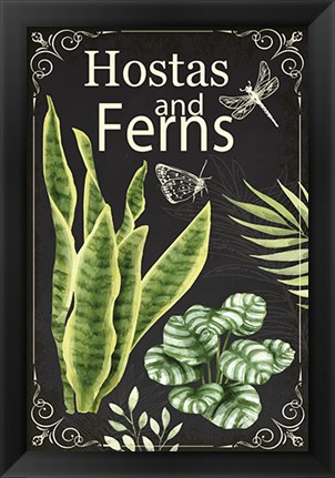 Framed Hostas and Ferns Print