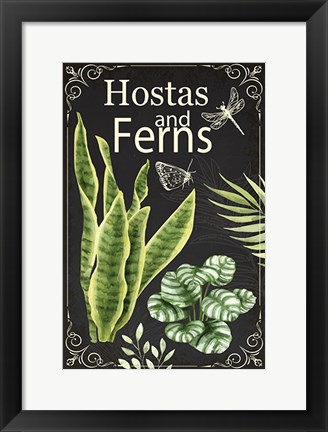 Framed Hostas and Ferns Print