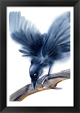 Framed Crow Print