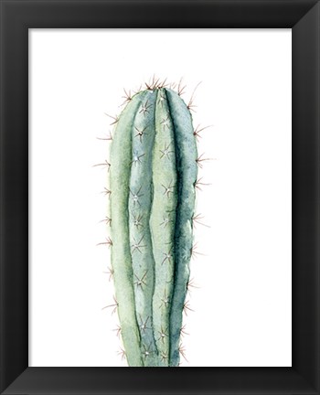 Framed Cactus IV Print