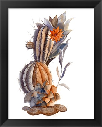 Framed Cactus VII Print