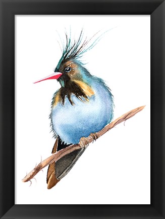Framed Perched Bird Print