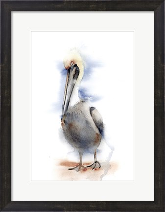 Framed Pelican II Print