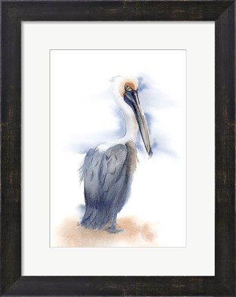 Framed Pelican III Print