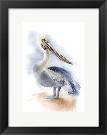 Framed Pelican IV Print
