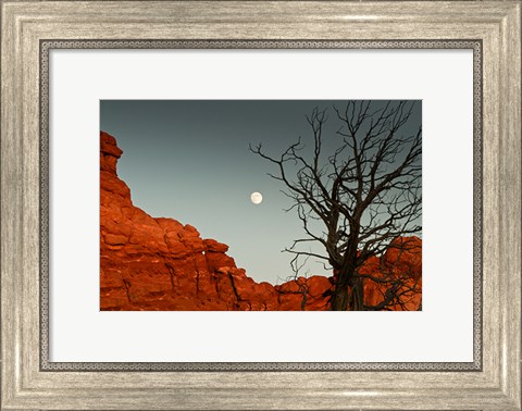 Framed Full Moon Print