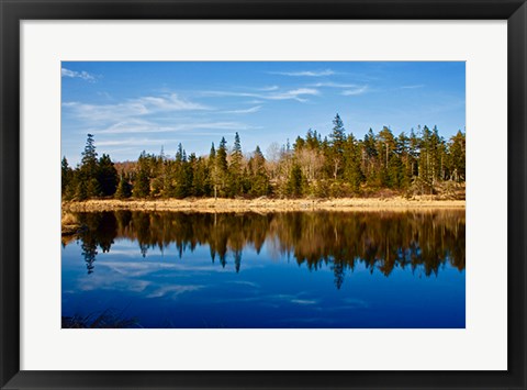 Framed Lake Reflections Print