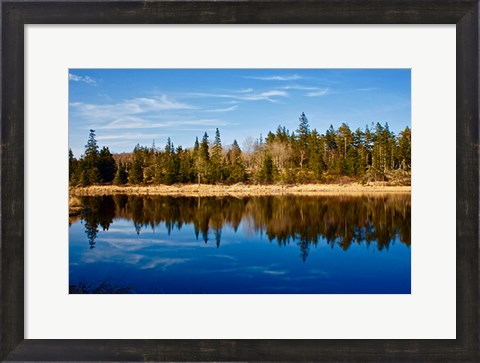 Framed Lake Reflections Print