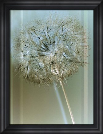 Framed Flaura I Print