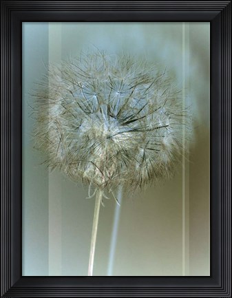 Framed Flaura II Print