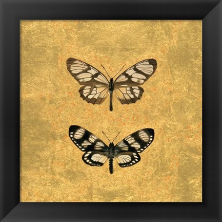 Framed Pair of Butterflies on Gold Print