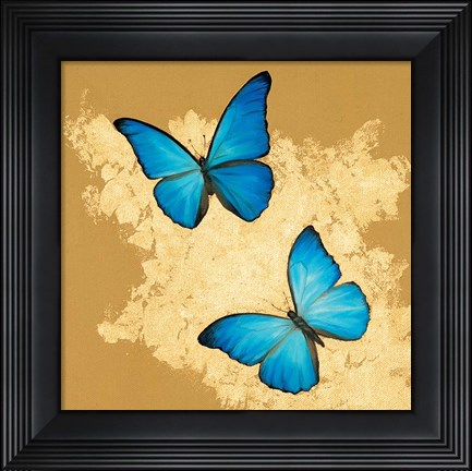Framed Cerulean Butterfly I Print