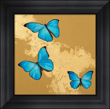 Framed Cerulean Butterfly II Print