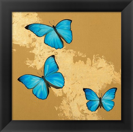 Framed Cerulean Butterfly II Print