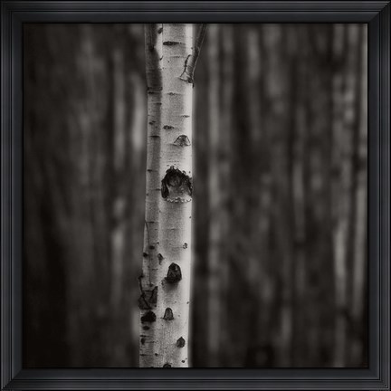 Framed Equilibrium Print