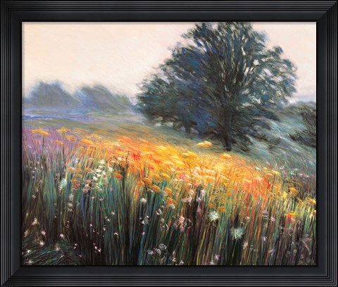 Framed Misty Morning III Print