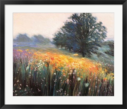 Framed Misty Morning III Print