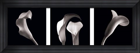 Framed Lilies Print