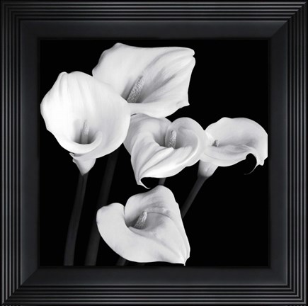 Framed Harmony Print
