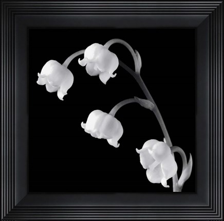 Framed Spring Bells I Print