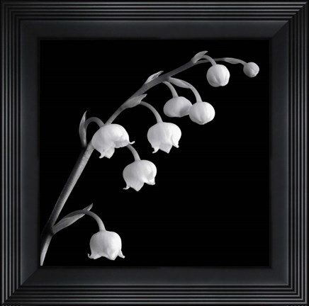 Framed Spring Bells II Print
