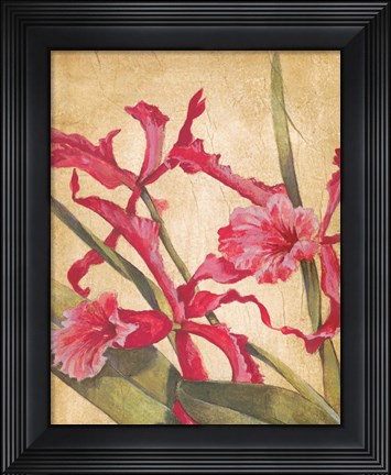 Framed Hawaiian Tropics I Print
