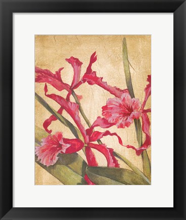 Framed Hawaiian Tropics I Print