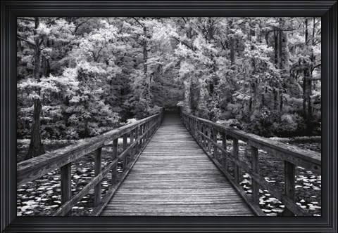 Framed Walk Into Tranquility Print
