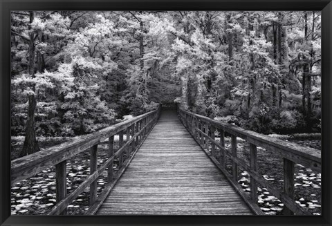 Framed Walk Into Tranquility Print