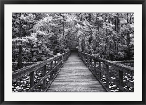 Framed Walk Into Tranquility Print