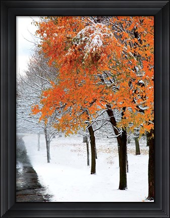Framed SnowFall III Print