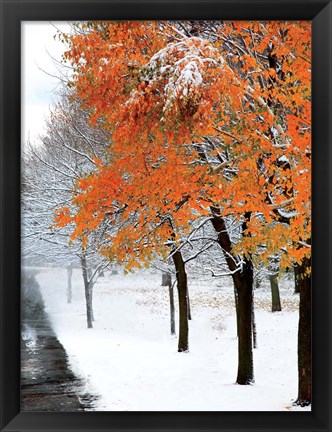 Framed SnowFall III Print