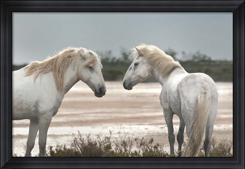 Framed Friendship Print