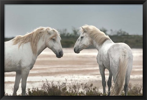 Framed Friendship Print