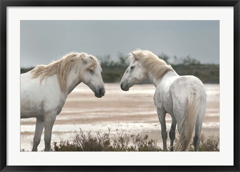 Framed Friendship Print