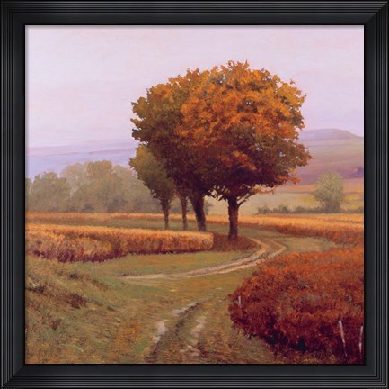Framed Charmony Print