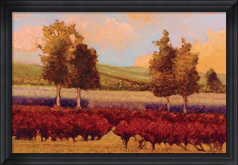 Framed St. Pierre Print