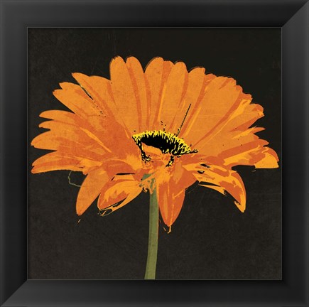 Framed Midnight Gerbera II Print