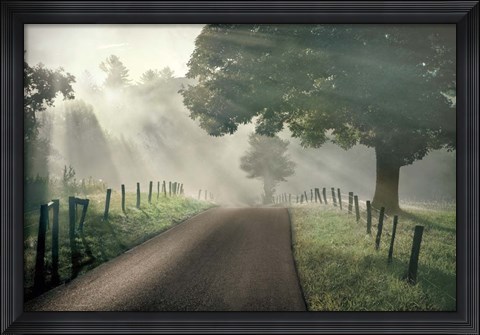 Framed Misty Print