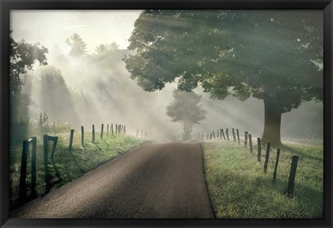 Framed Misty Print