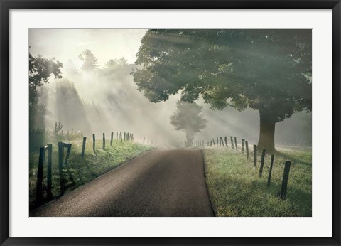 Framed Misty Print