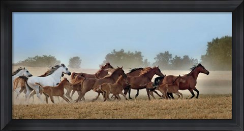 Framed Freedom Print