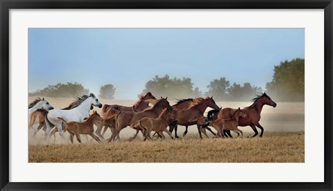 Framed Freedom Print