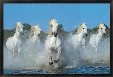 Framed Beautiful Five Print