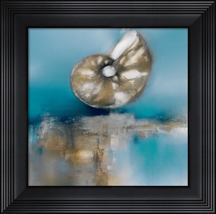 Framed Blue Shores Nautilus Print