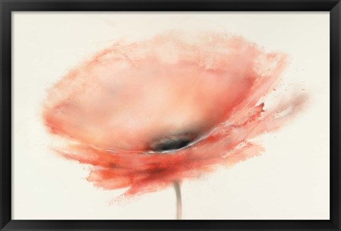 Framed Chiffon Poppy Print